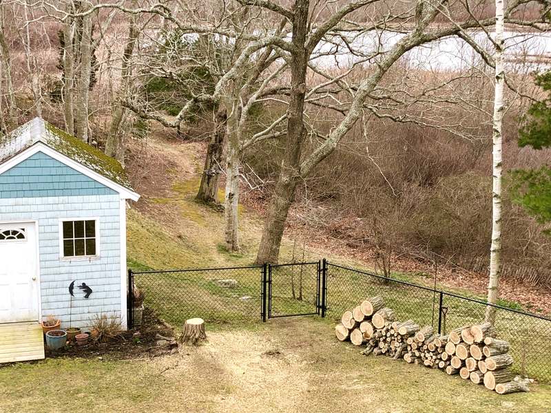 The same yard less than two hours later. The tree is gone, the stump is cut low, logs are stacked neatly along the fence, and the shed and fence are untouched.