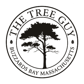 Round seal: The Tree Guy, Buzzards Bay Massachusetts.